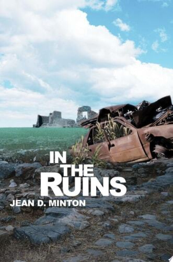 In the Ruins av Jean D Minton (Paperback)