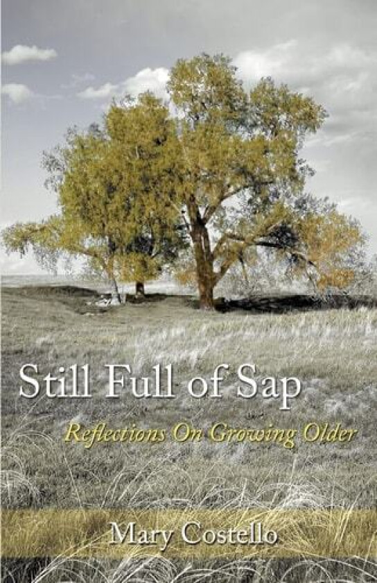 Still Full of Sap av Mary Costello (Paperback)