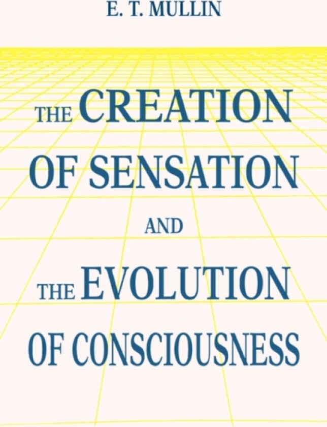 The Creation of Sensation and the Evolution of Consciousness av E T Mullin (Paperback)
