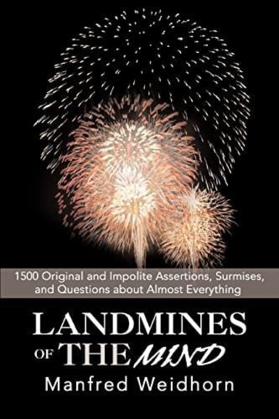 Landmines of the Mind av Manfred Weidhorn (Paperback)