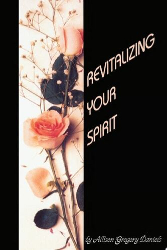 Revitalizing Your Spirit av Allison Gregory Daniels (Paperback)