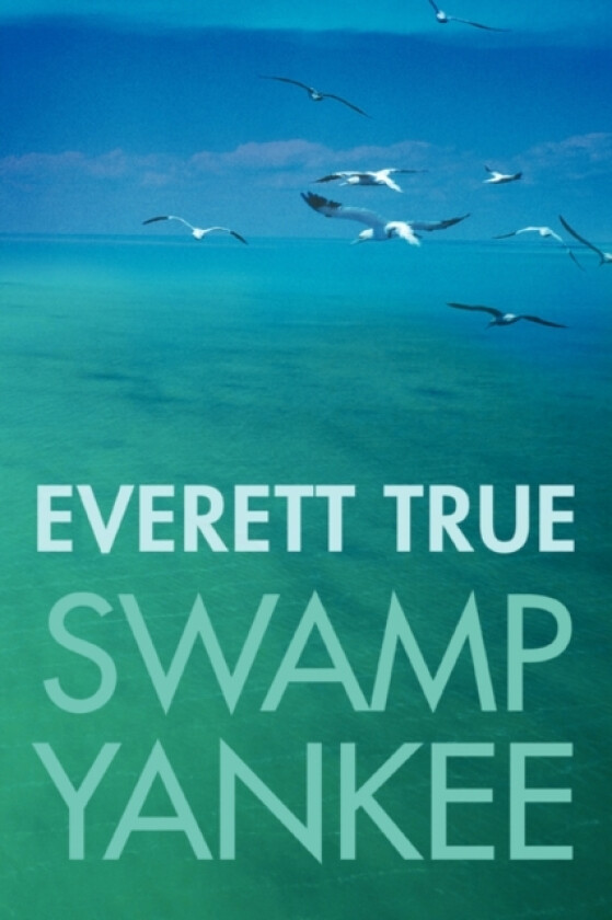 Swamp Yankee av Everett True (Paperback)