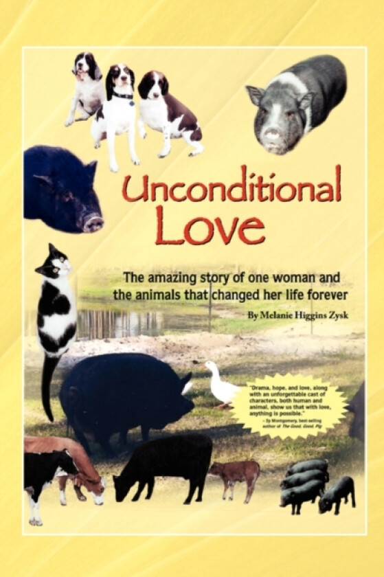 Unconditional Love av Melanie Higgins Zysk (Paperback)