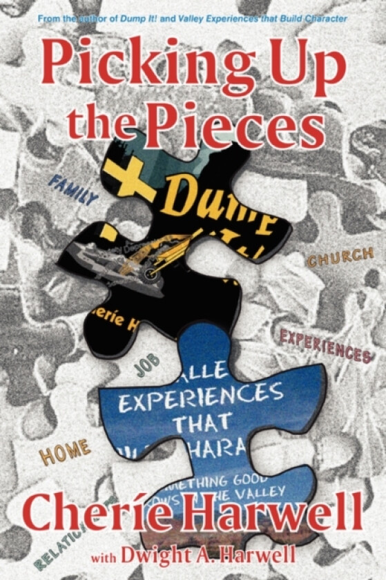 Picking up The Pieces av Cherie K Harwell (Paperback)