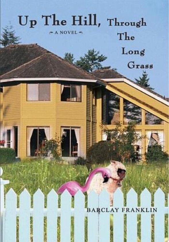 Up The Hill, Through The Long Grass av Barclay Franklin (Paperback)