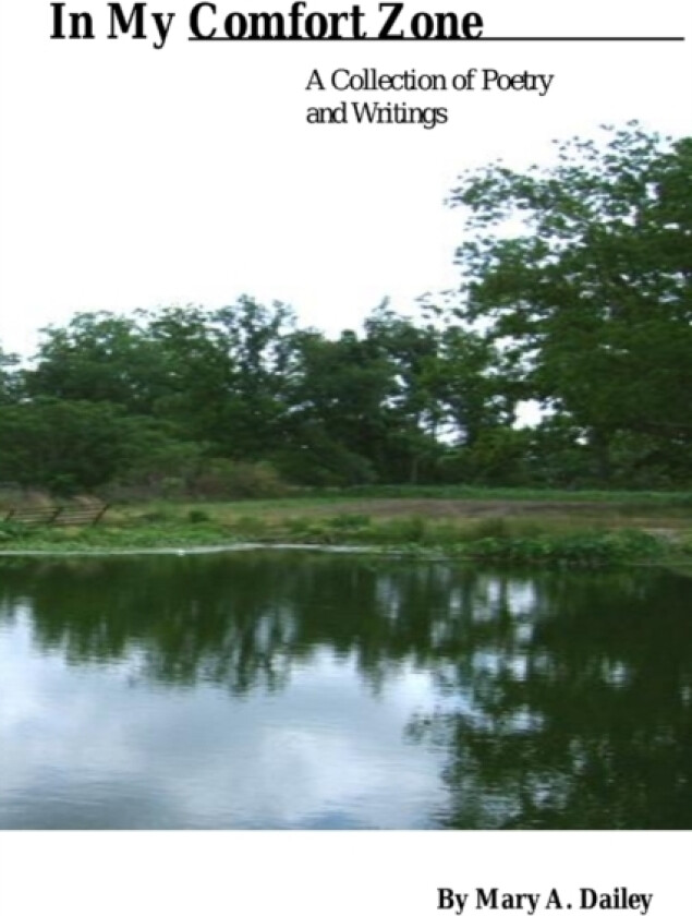 In My Comfort Zone av Mary Dailey (Paperback)