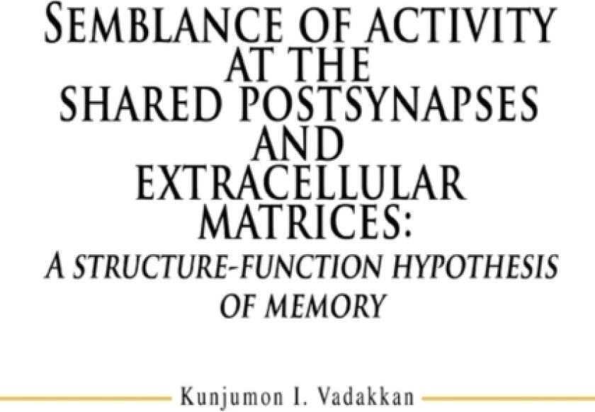 Semblance of activity at the shared postsynapses and extracellular matrices av Kunjumon I Vadakkan (Paperback)
