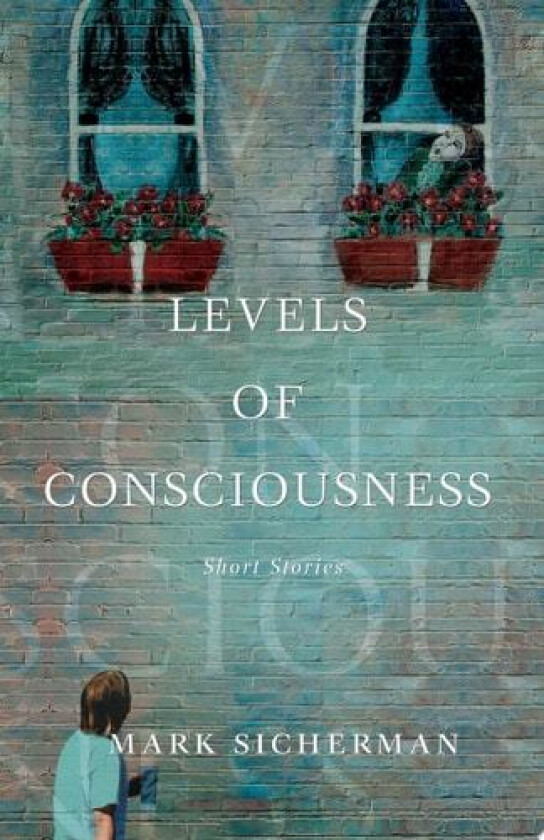 LEVELS OF CONSCIOUSNESS: Short Stories av Mark Sicherman (Paperback)