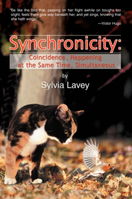 Synchronicity av Sylvia Lavey (Paperback)