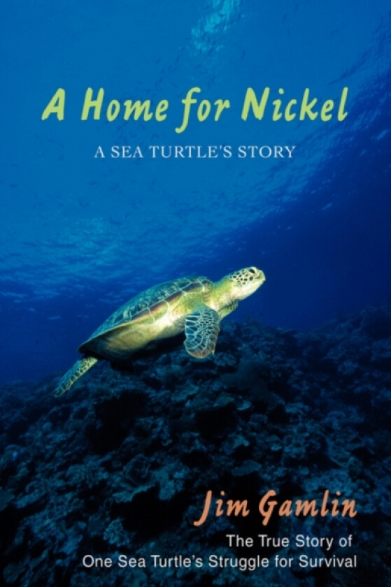 A Home for Nickel av Jim Gamlin (Paperback)