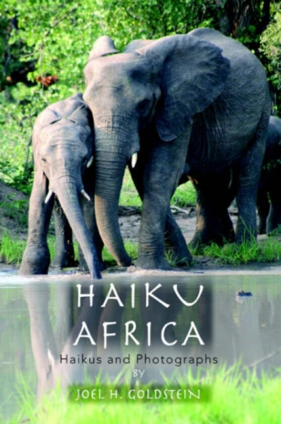 Haiku Africa av Joel H Goldstein (Paperback)