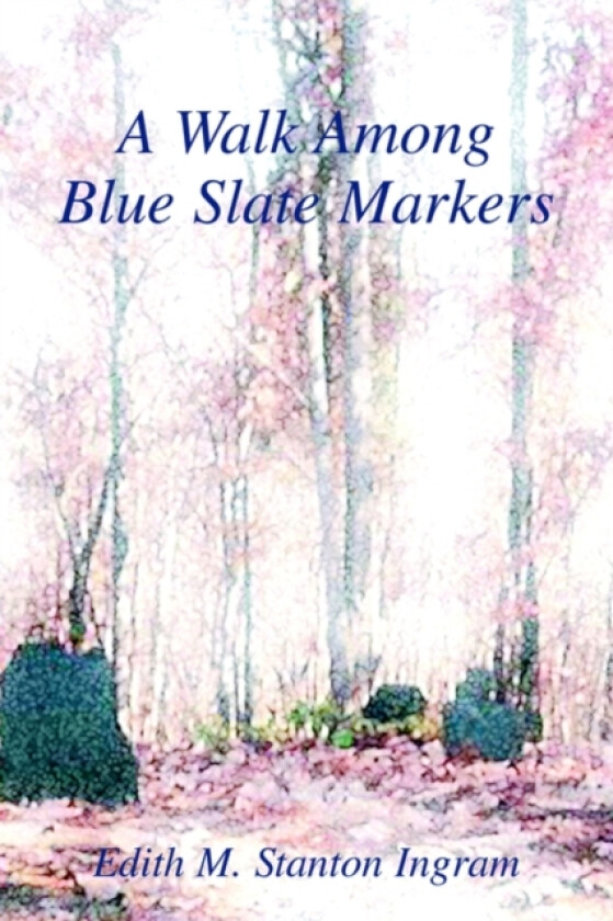 A Walk Among Blue Slate Markers av Edith M Stanton Ingram (Paperback)
