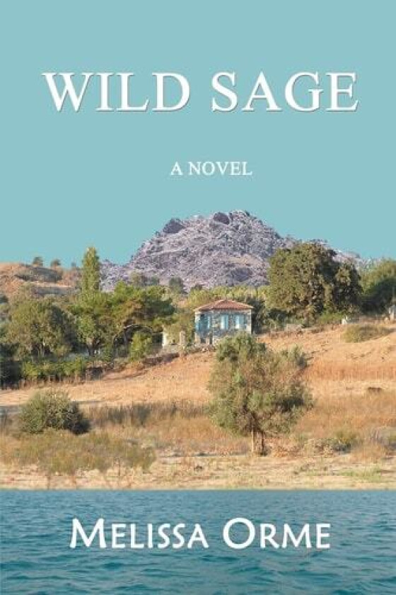 Wild Sage: A Novel av Melissa Marmarellis (Paperback)
