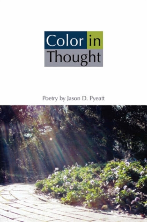 Color in Thought av Jason D Pyeatt (Paperback)