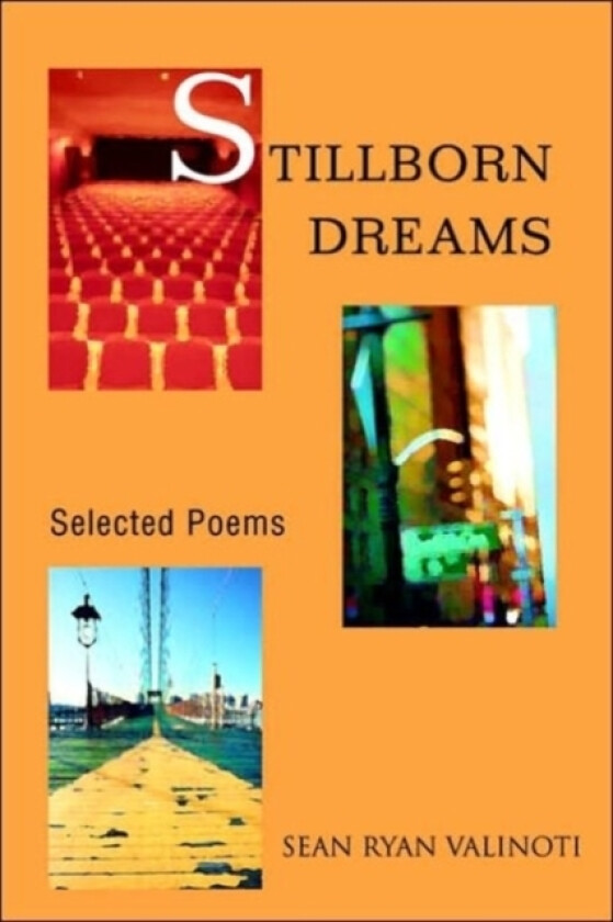 Stillborn Dreams av Sean Ryan Valinoti (Paperback)