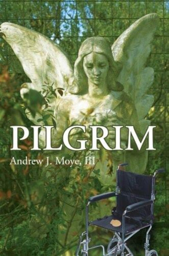 Pilgrim av Andrew J III Moye (Paperback)