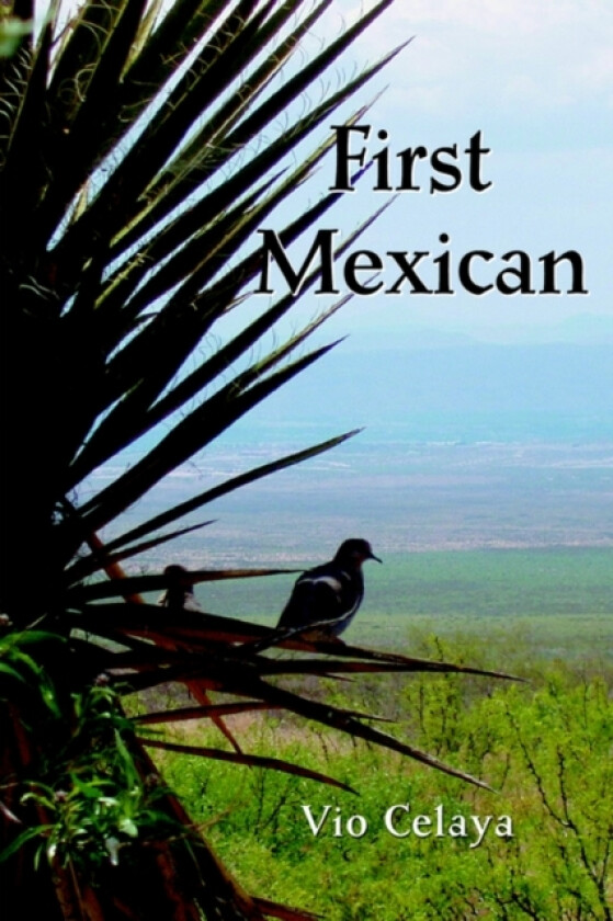 First Mexican av Vio Celaya (Paperback)