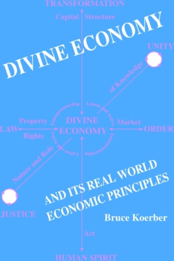 Divine Economy And Its Real World Economic Principles av Bruce Koerber (Paperback)
