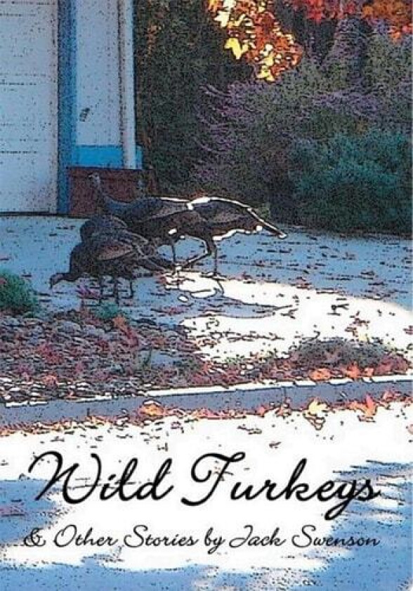 Wild Turkeys & Other Stories av Jack Swenson (Paperback)