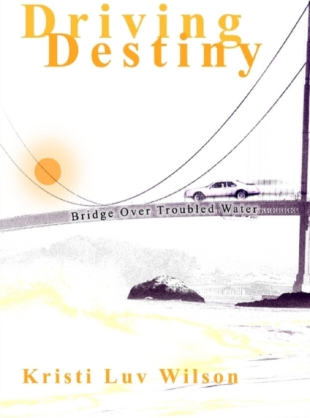Driving Destiny av Kristi Luv Wilson (Paperback)