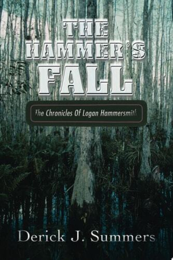 The Hammer's Fall av Derick J Summers (Paperback)