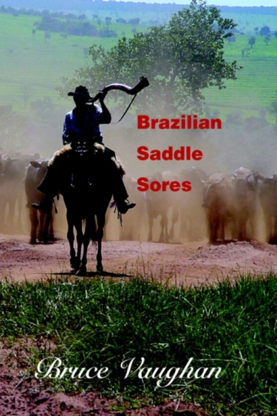 Brazilian Saddle Sores av Bruce Vaughan (Paperback)