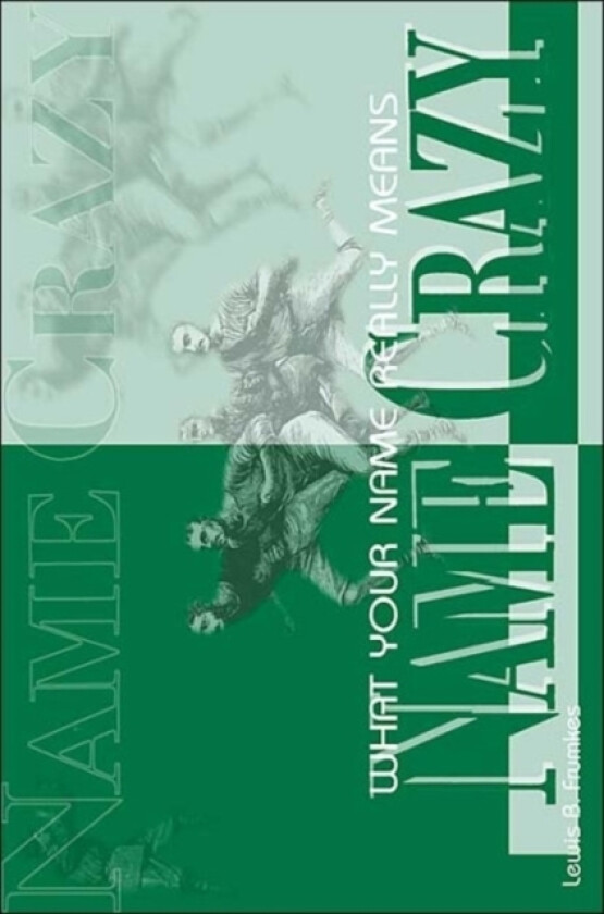 Name Crazy av Lewis Burke Frumkes (Paperback)