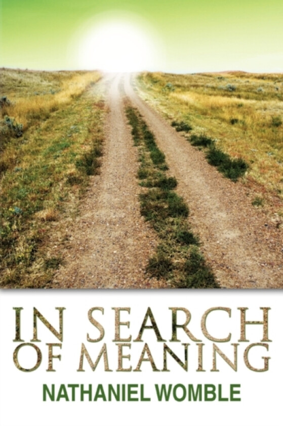 In Search of Meaning av Nathaniel Womble (Paperback)