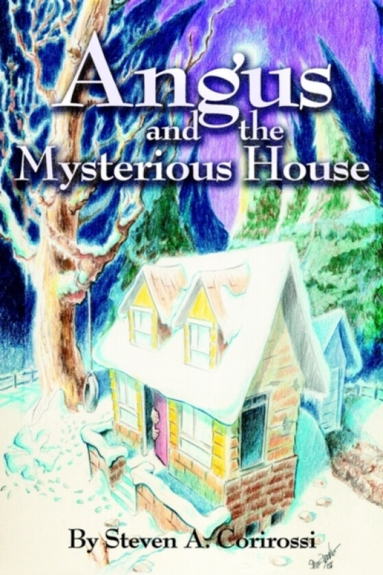 Angus and the Mysterious House av Steven a Corirossi (Paperback)