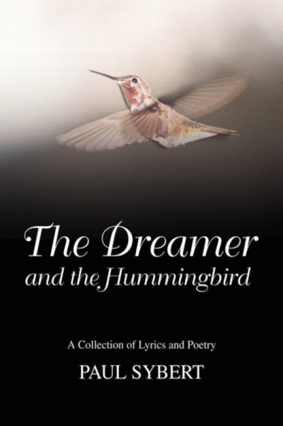 The Dreamer and the Hummingbird av Paul W Sybert (Paperback)