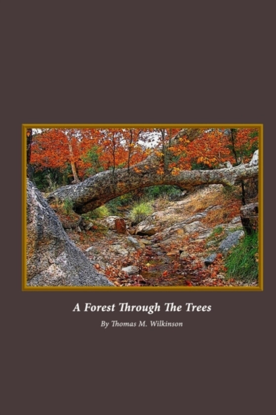 A Forest Through The Trees av Thomas M. Wilkinson (Paperback)