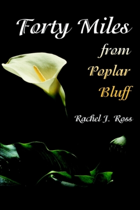 Forty Miles from Poplar Bluff av Rachel J Ross (Paperback)