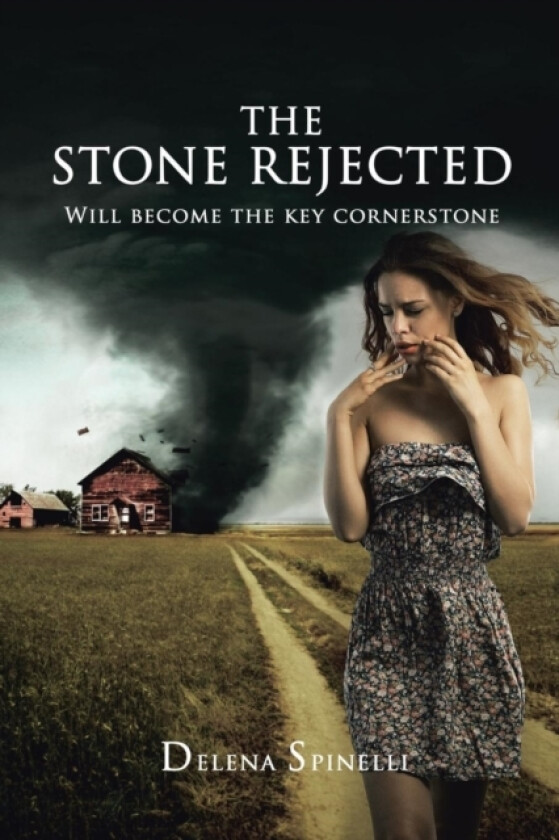 The Stone Rejected av Delena Spinelli (Paperback)