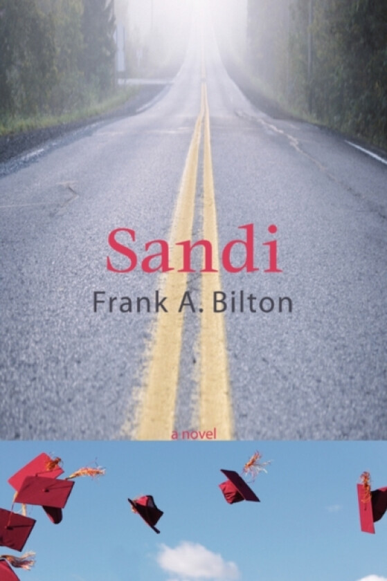 Sandi av Frank A Bilton (Paperback)