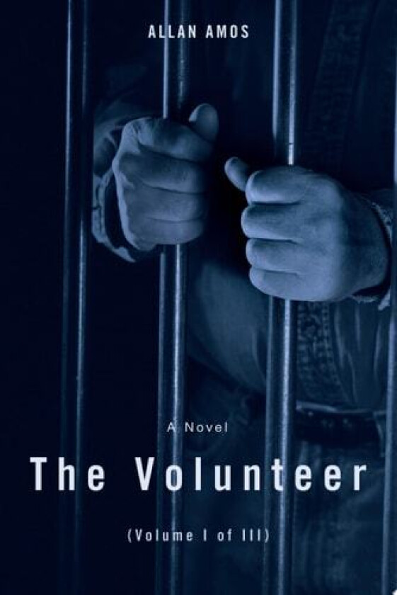 The Volunteer av Allan Amos (Paperback)