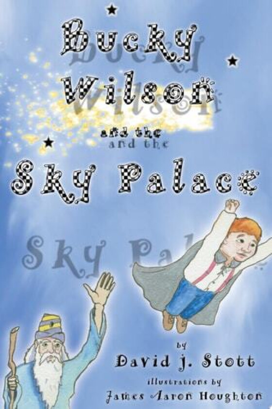 Bucky Wilson and the Sky Palace av David J Stott (Paperback)