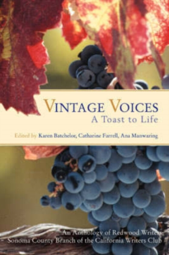 Vintage Voices av Writers Redwoood Writers, Redwoood Writers (Paperback)
