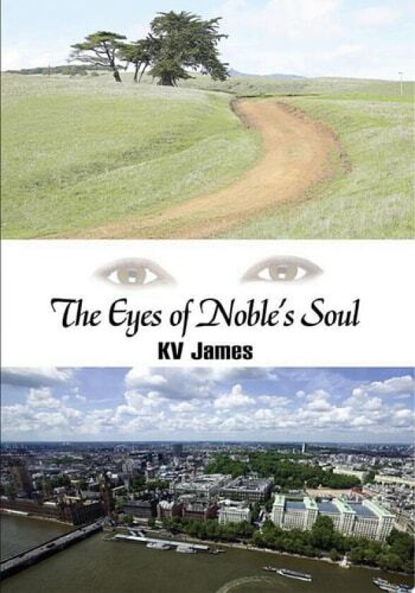 The Eyes of Noble's Soul av Kv James (Paperback)