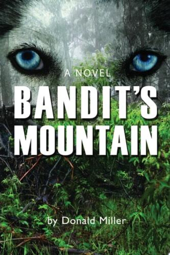 Bandit's Mountain av Donald Miller (Paperback)