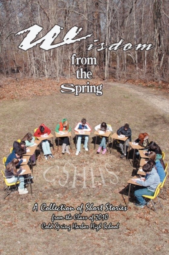 Wisdom from the Spring av Joanna Bergida (Paperback)