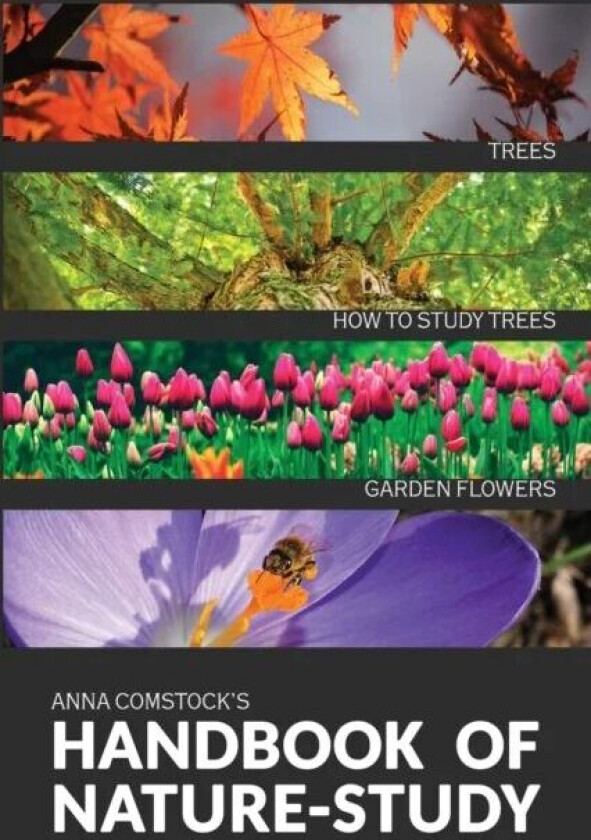 The Handbook Of Nature Study in Color - Trees and Garden Flowers av Anna B Comstock