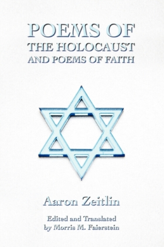Poems of the Holocaust and Poems of Faith av Aaron Zeitlin (Paperback)