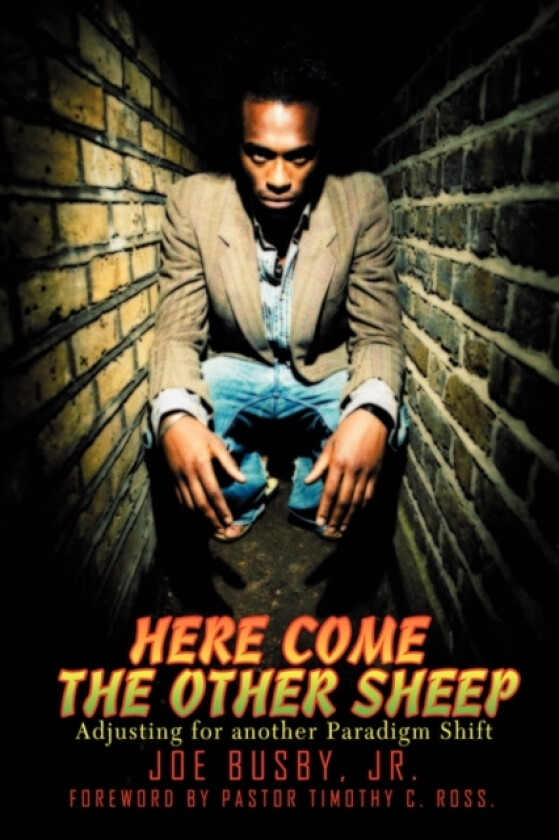 Here Come the Other Sheep av Joe Jr Busby (Paperback)