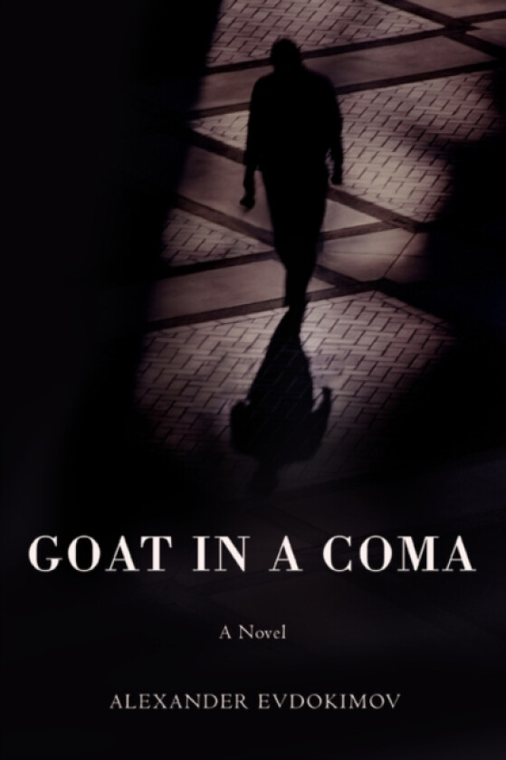 Goat in a Coma av Alexander Evdokimov (Paperback)