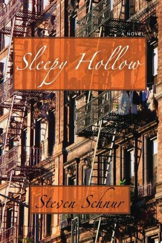 Sleepy Hollow av Steven Schnur (Paperback)