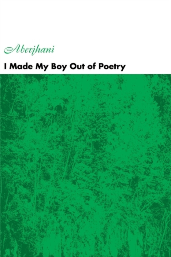 I Made My Boy Out of Poetry av Aberjhani (Paperback)