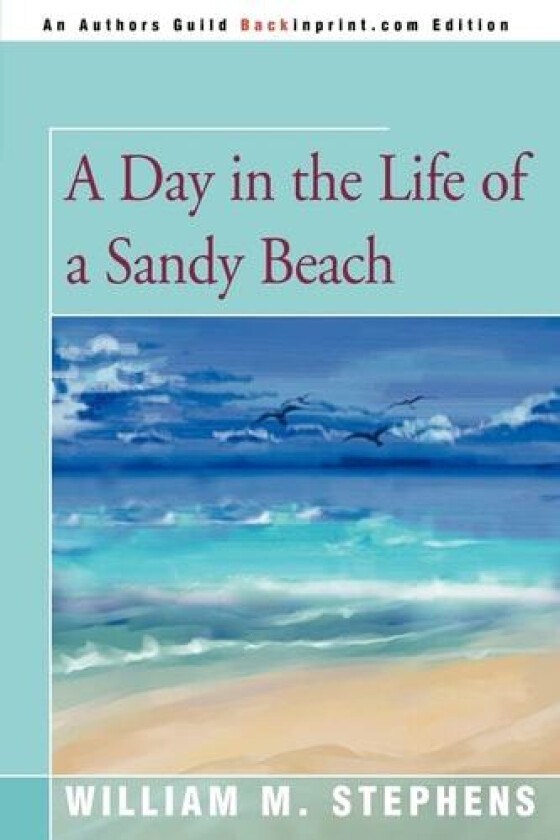 A Day in the Life of a Sandy Beach av William M Stephens (Paperback)