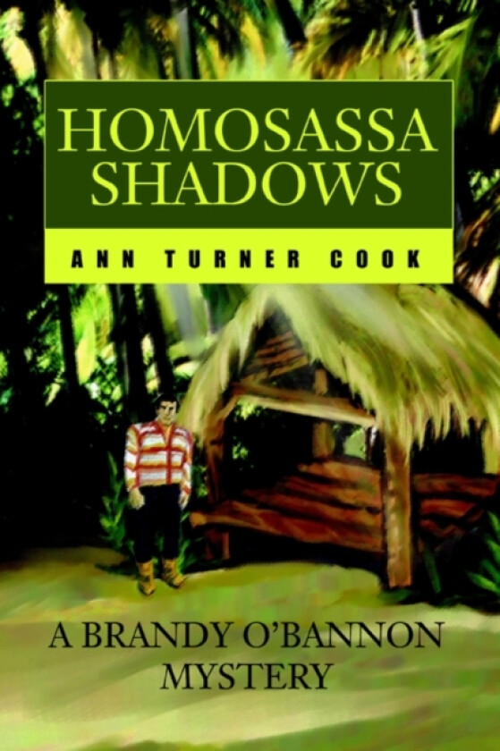 Homosassa Shadows av Ann Turner Cook (Paperback)