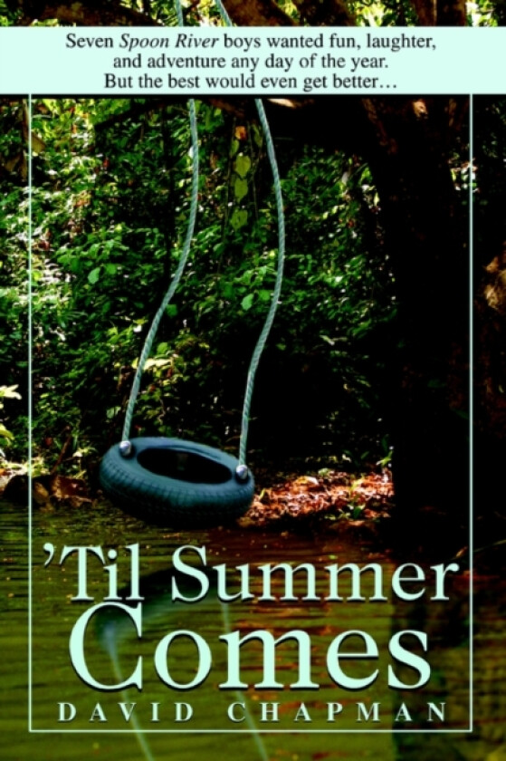 'Til Summer Comes av Dr David Chapman (Paperback)