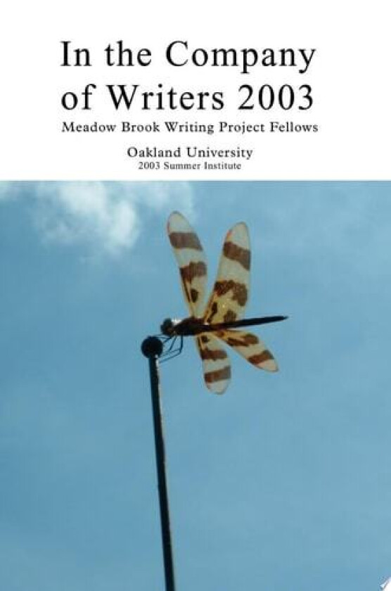 In the Company of Writers 2003 av Ronald A Sudol (Paperback)